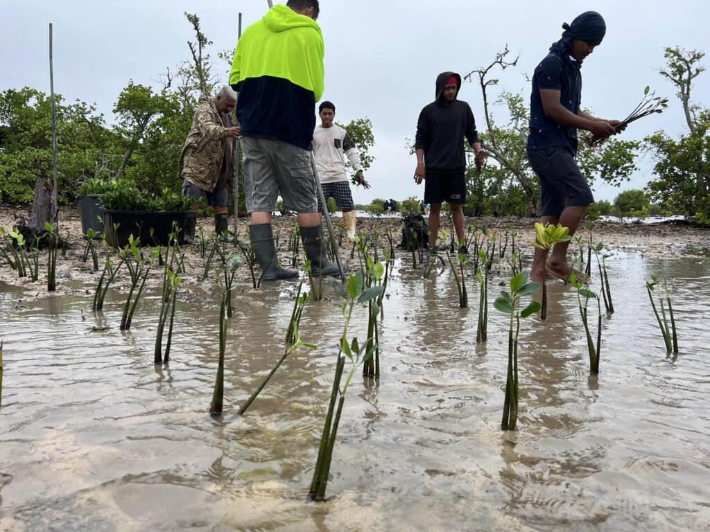 international day for conservation of mangroves