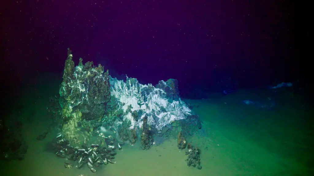 tonga volcanic eruption impact on seafloor near lau basin