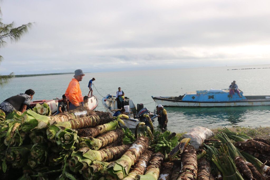 Farmers around the islands of Ha'apai bringing in their produce in preparation for the 2018 Royal Agricultural Show. Photo: MAFF